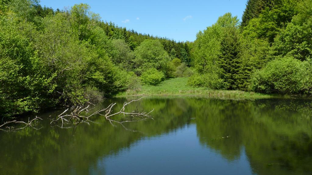 Landidyll Landhaus Liesetal Hallenberg Bagian luar foto