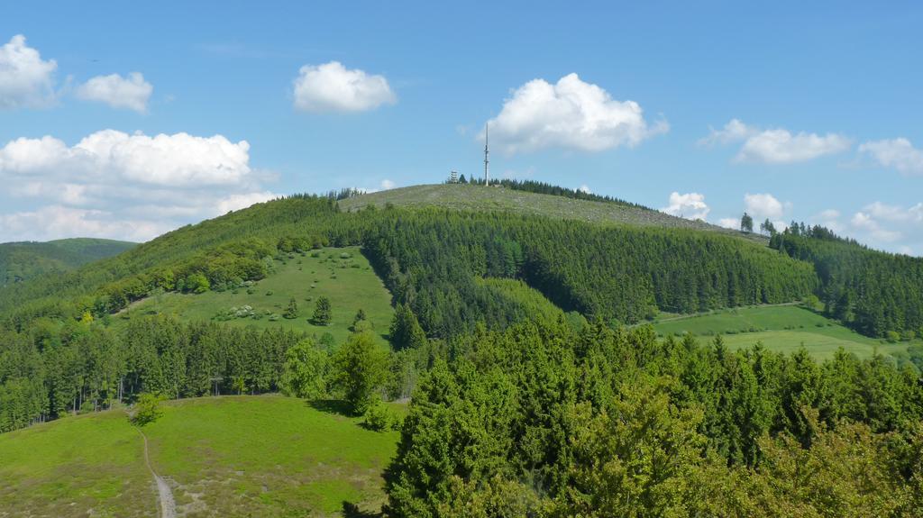 Landidyll Landhaus Liesetal Hallenberg Bagian luar foto