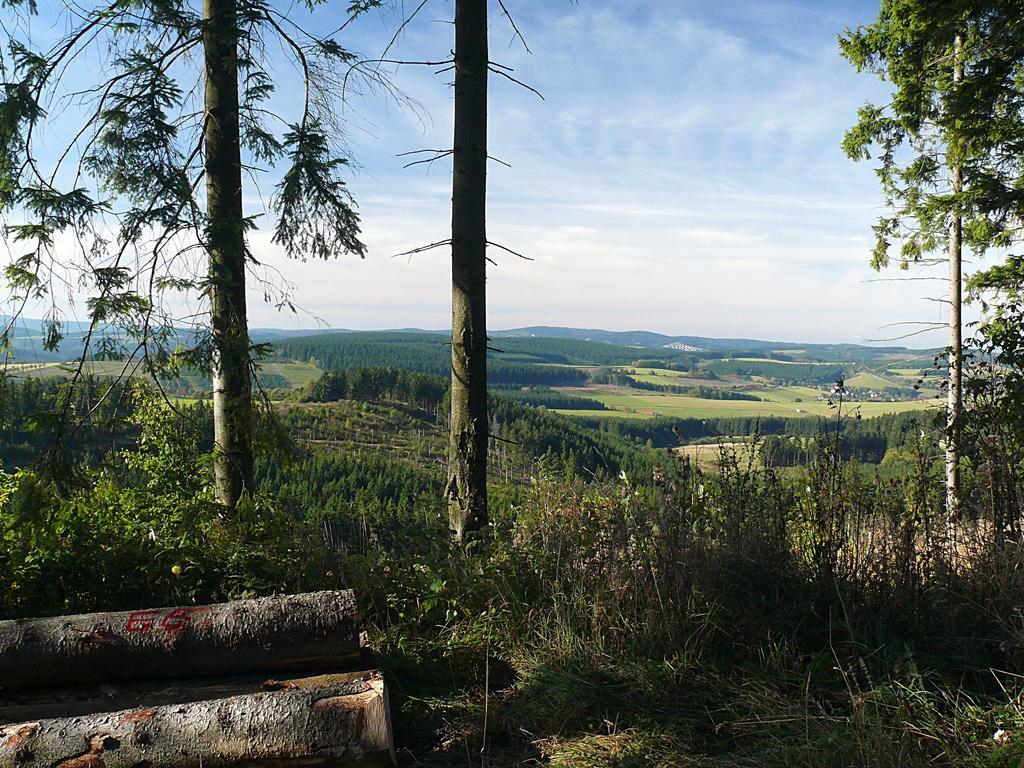 Landidyll Landhaus Liesetal Hallenberg Bagian luar foto