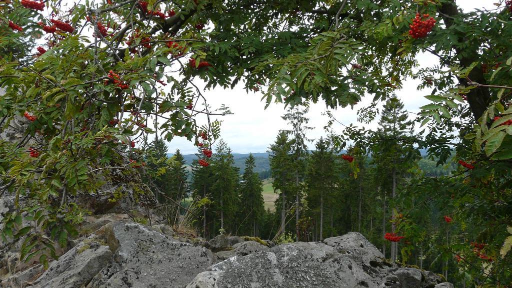 Landidyll Landhaus Liesetal Hallenberg Bagian luar foto